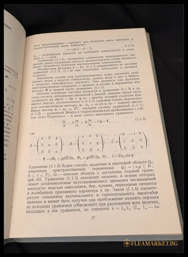 Теория мелкой воды. Океанологические задачи и численные методы (162706262324) - Н. Е. Вольцингер Р. В. Пясковский