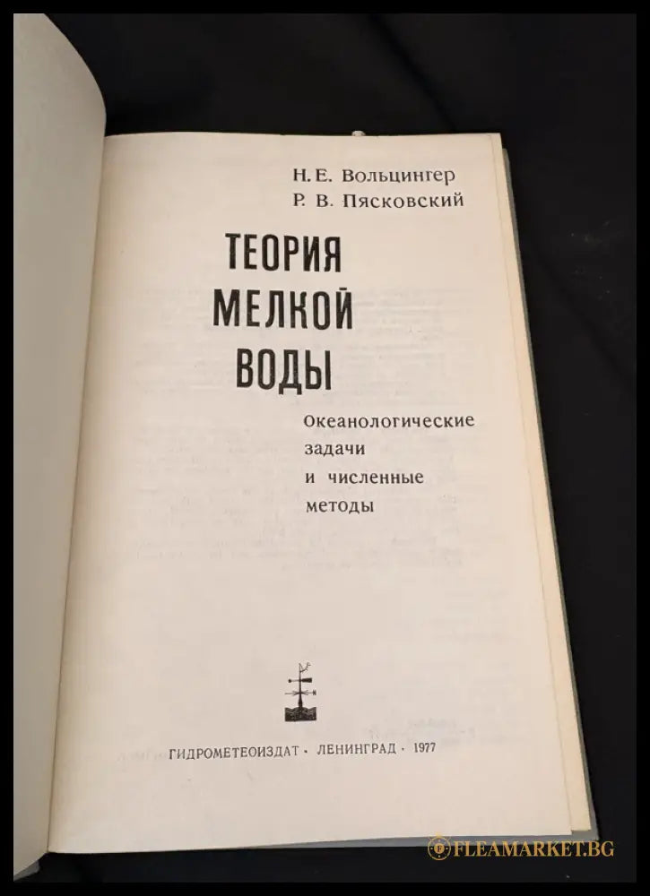 Теория мелкой воды. Океанологические задачи и численные методы (162706262324) - Н. Е. Вольцингер Р. В. Пясковский