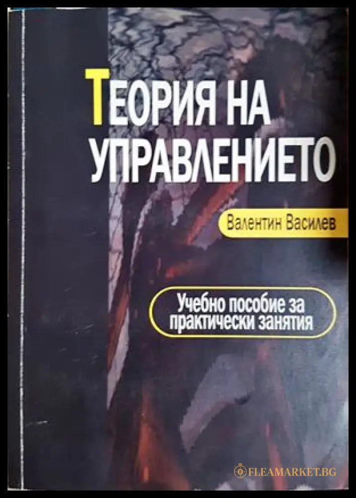 Теория на управлението (332806261646) - Валентин Василев - Книга
