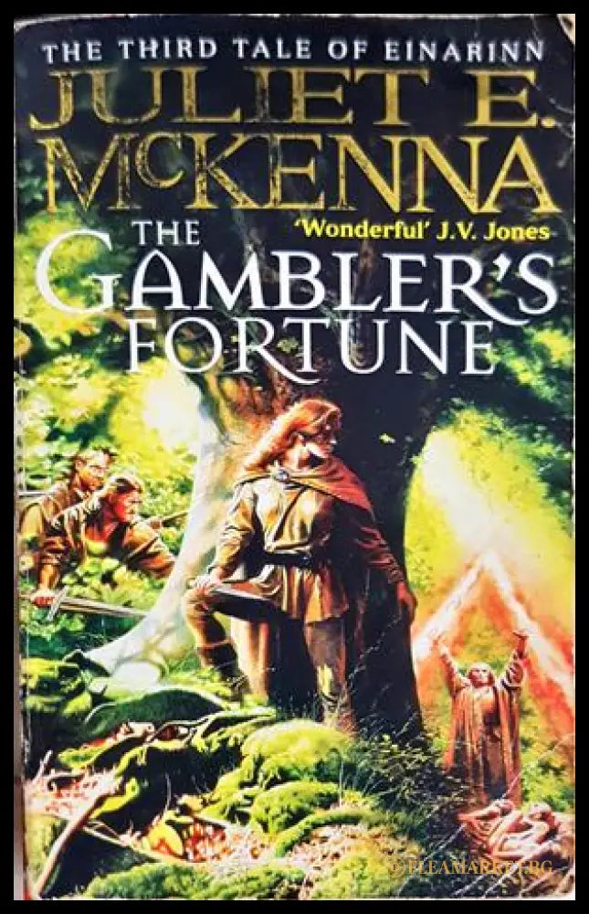 The Gambler's Fortune - Juliet E. McKenna