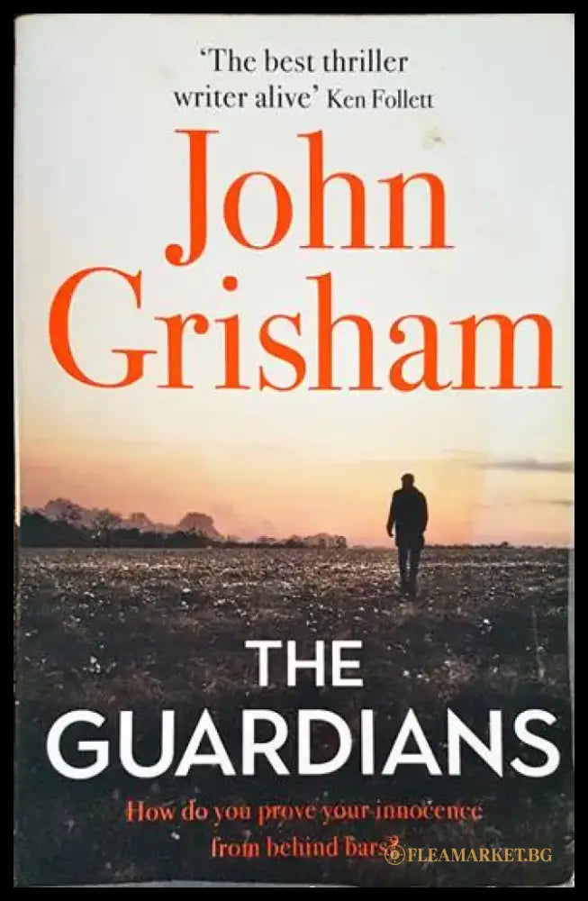 The Guardians: The Sunday Times Bestseller - Книги