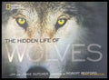 The Hidden Life of Wolves - Книги