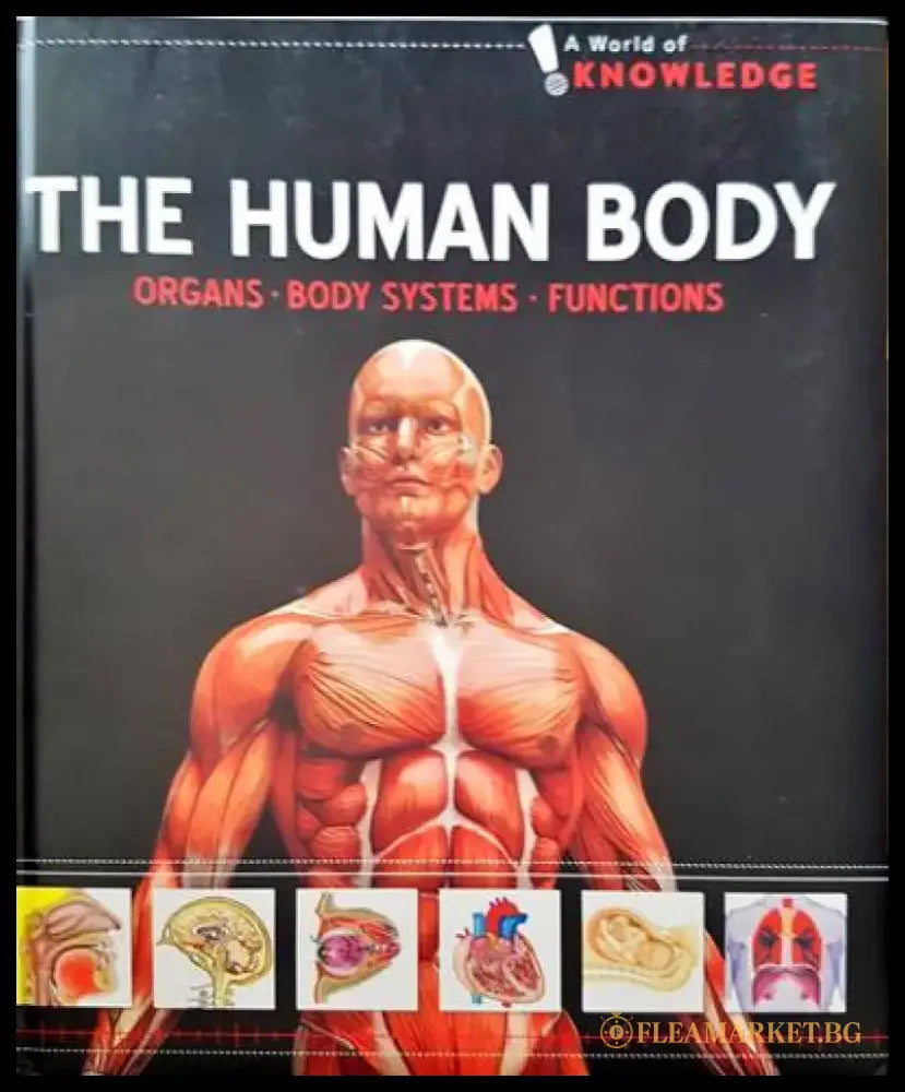 The Human Body - Книги