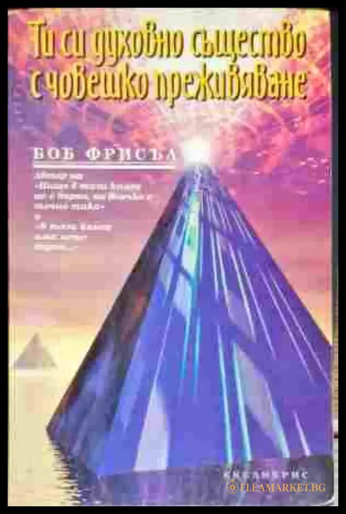 Ти си духовно същество с човешко преживяване - Книга