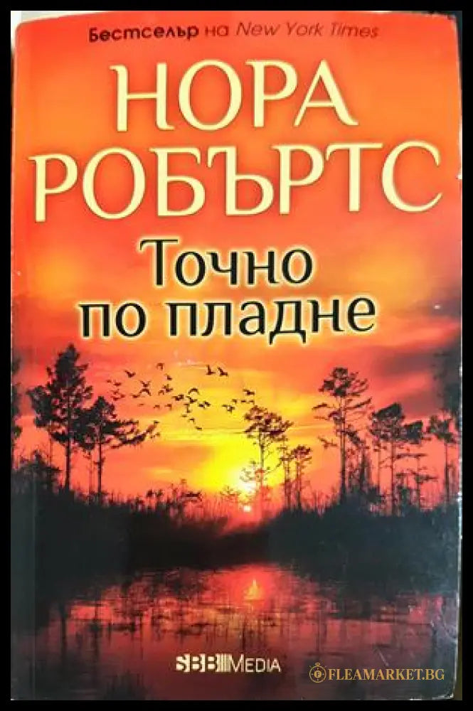 Точно по пладне - Нора Робъртс