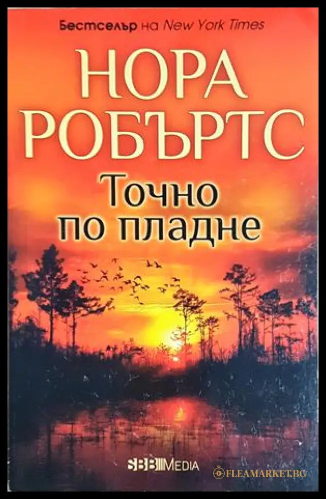 Точно по пладне (351905261534) - Нора Робъртс - Книга