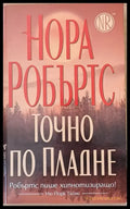 Точно по пладне - Книги