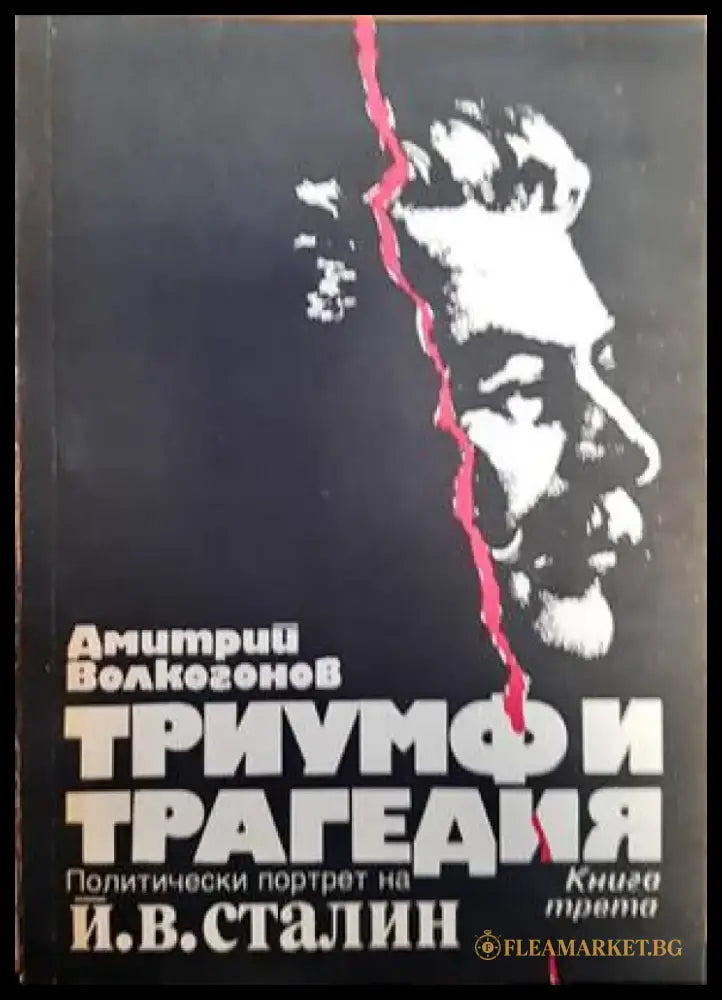 Триумф и трагедия. Книга 3 - Книги