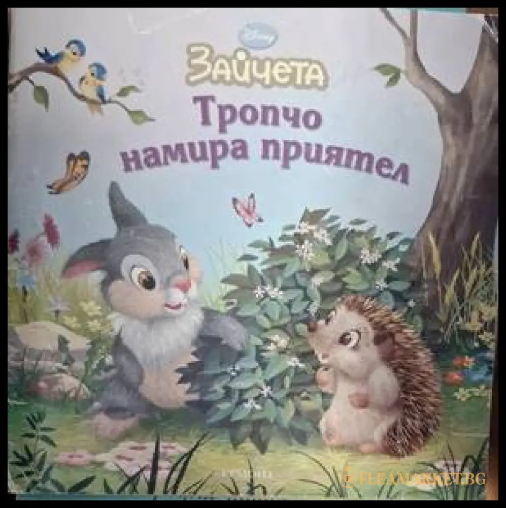 Тропчо намира приятел