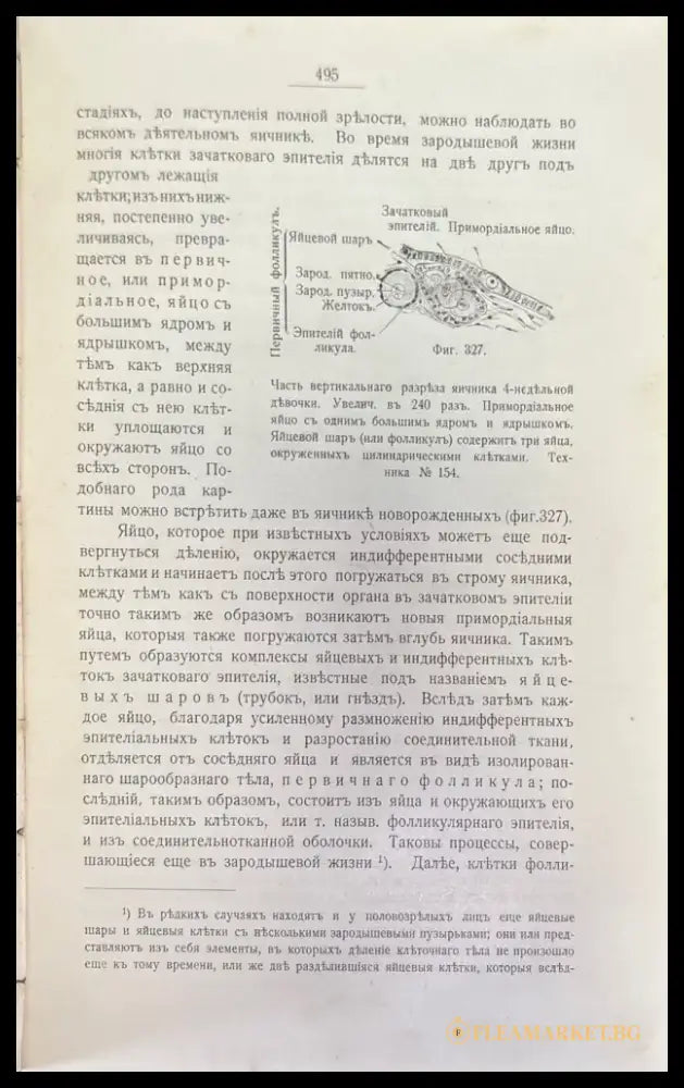Учебникъ гистологии. 3-е издание (497) - Книга