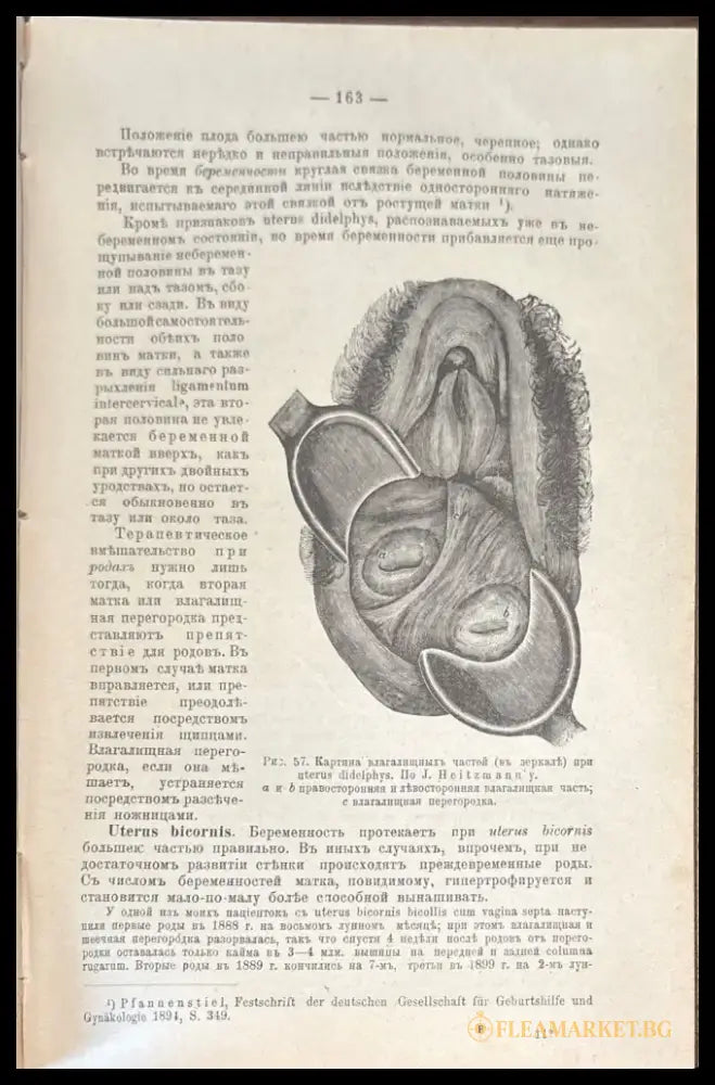 Учебникаъ акушерсва (487) - Книга