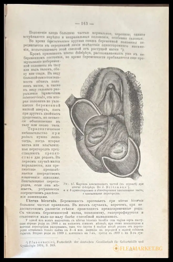 Учебникаъ акушерсва - Книги