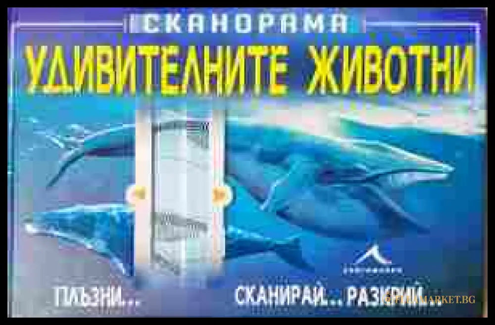 Удивителните животни (241307261717) - Невяна Кънчева - Книга