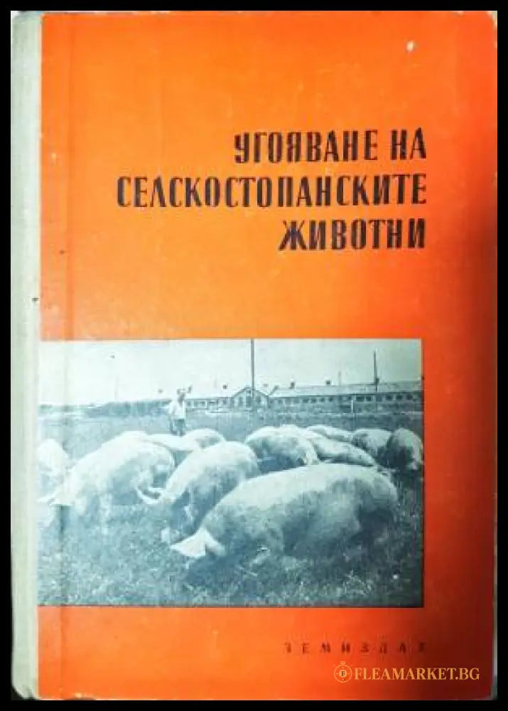 Угояване на селскостопански животни (33250526131600) - Колектив - Книга