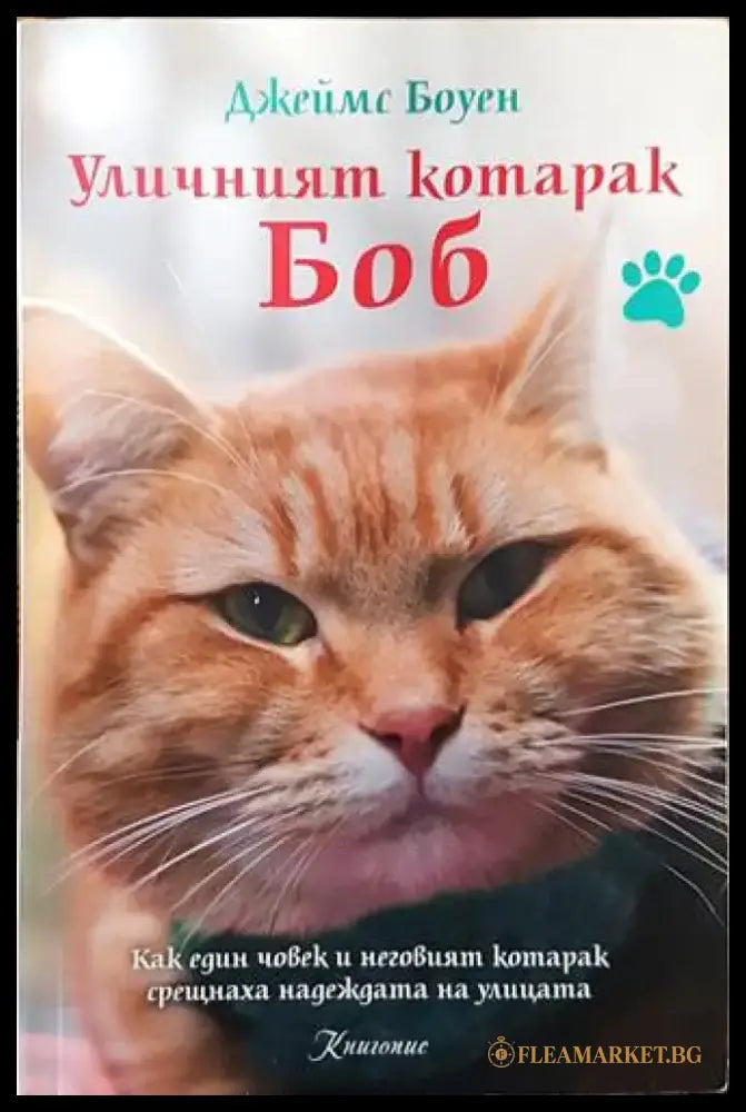 Уличният котарак Боб (2293) - Книга