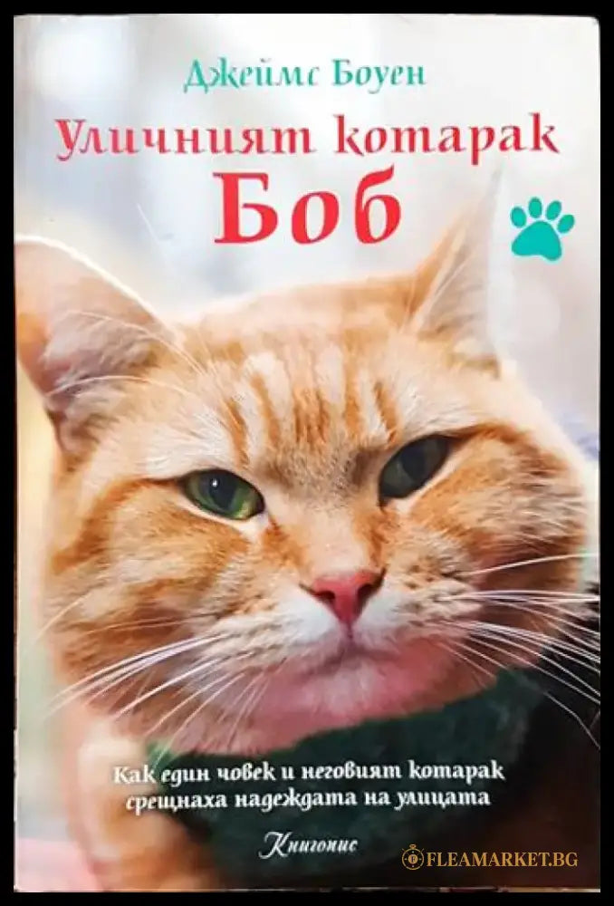 Уличният котарак Боб - Книги