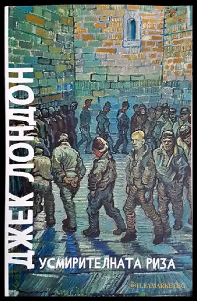 Усмирителната риза - Книга