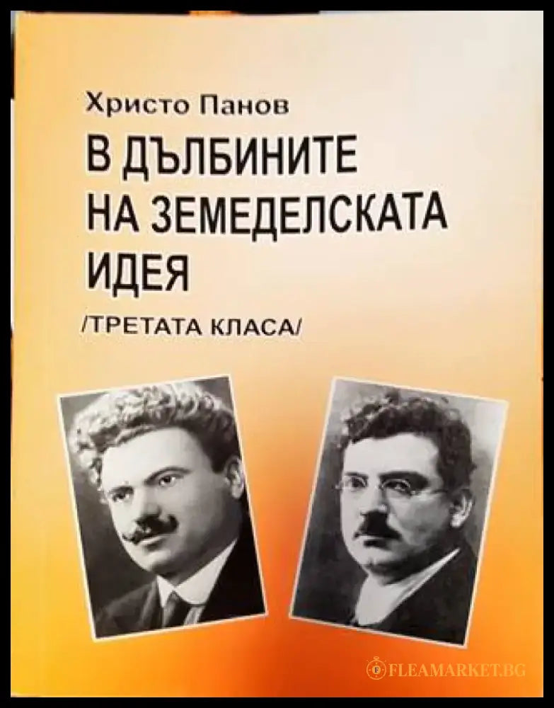 В дълбините на земеделската идея. Съществува ли третата класа? (3871) - Книга
