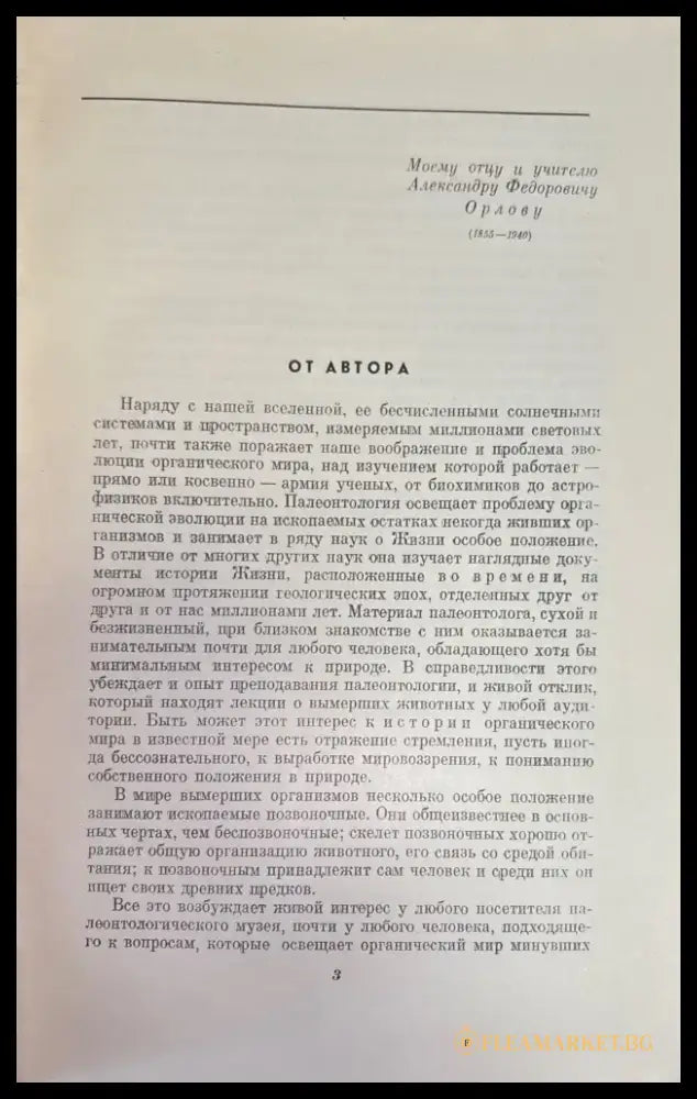 В мире древних животных - Книги
