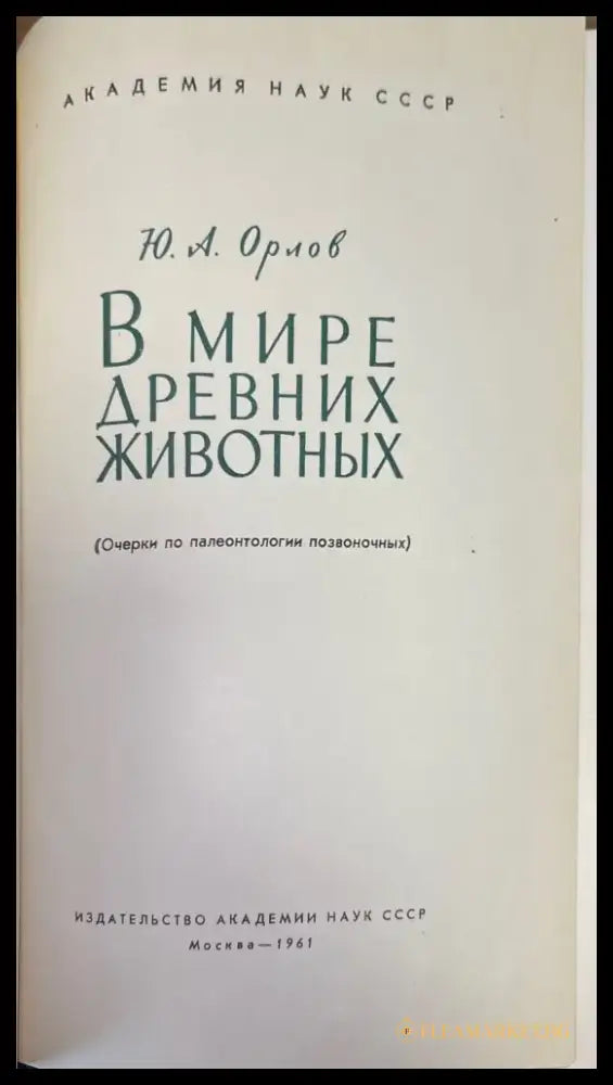 В мире древних животных - Книги