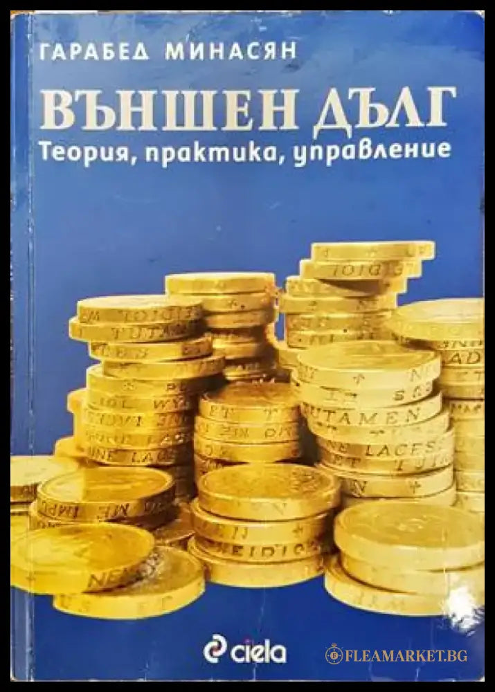 Външен дълг: Теория практика и управление - Книги