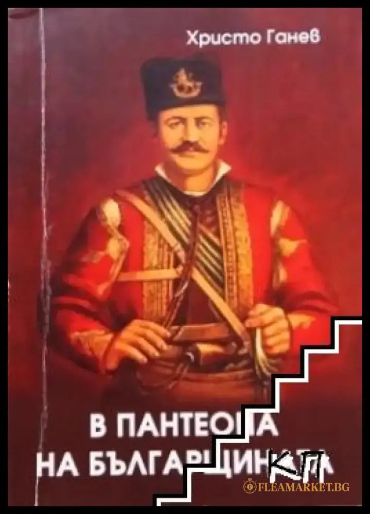В пантеона на българщината - Книги