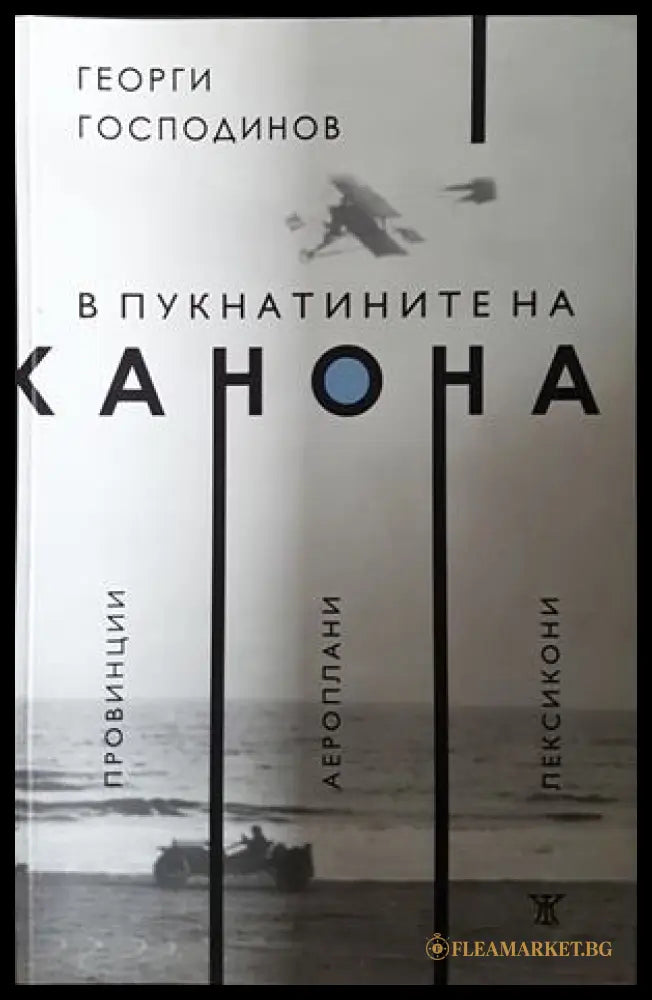 В пукнатините на канона - Георги Господинов