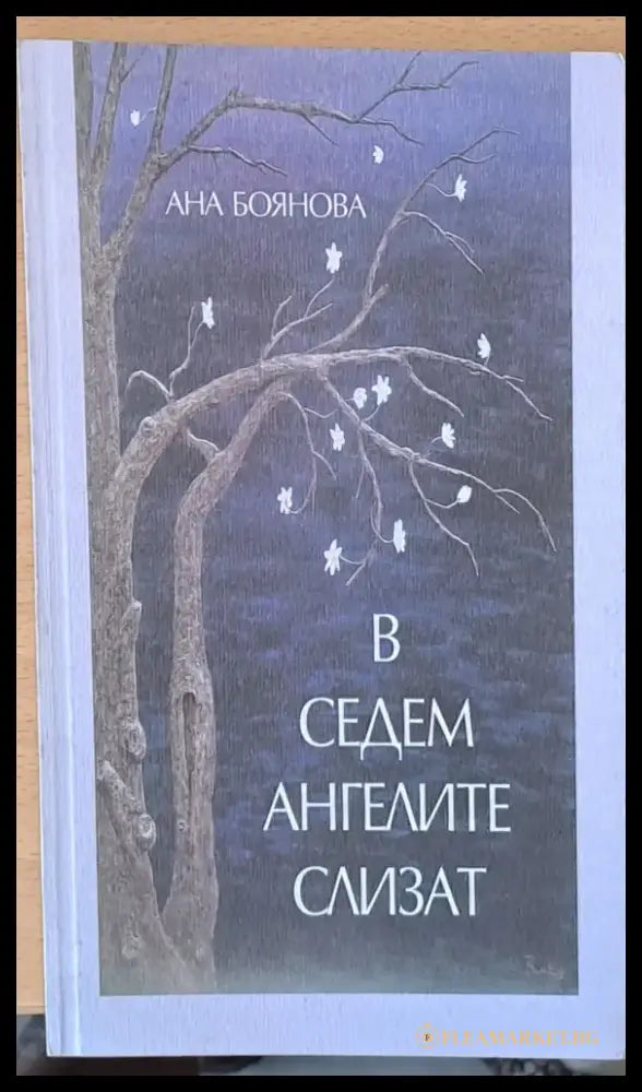 В седем ангелите слизат - Книги