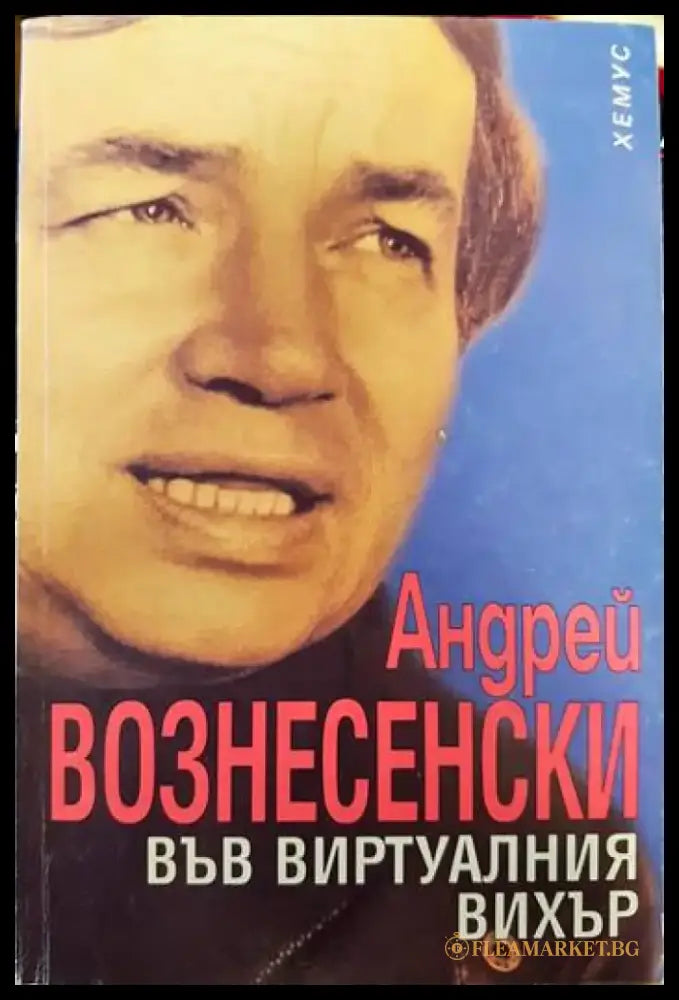 Във виртуалния вихър - Книги
