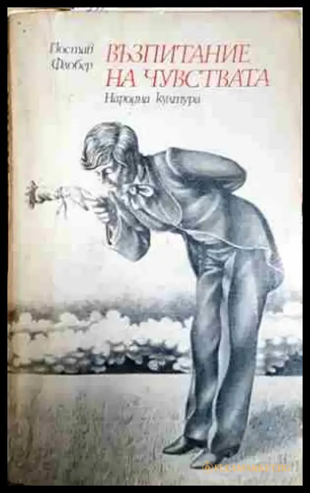 Възпитание на чувствата - Гюстав Флобер (3827) - Книга