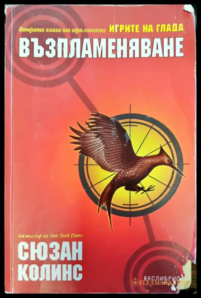 Възпламеняване - Книги