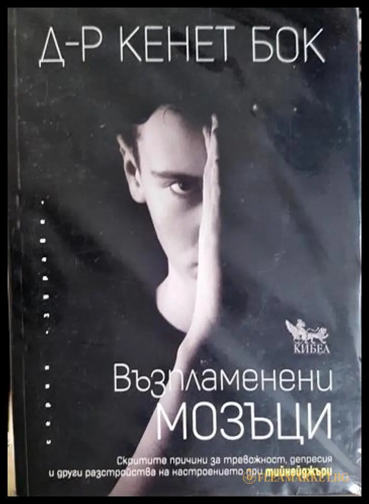 Възпламенени мозъци (331506261549) - Кенет Бок - Книга