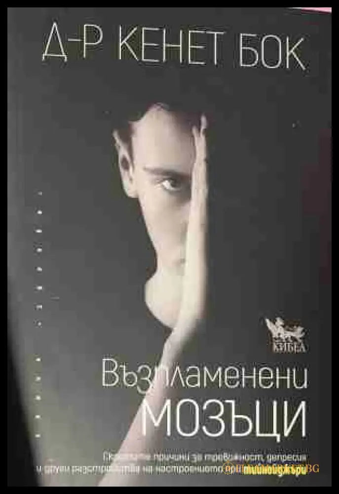 Възпламенени мозъци - Кенет Бок