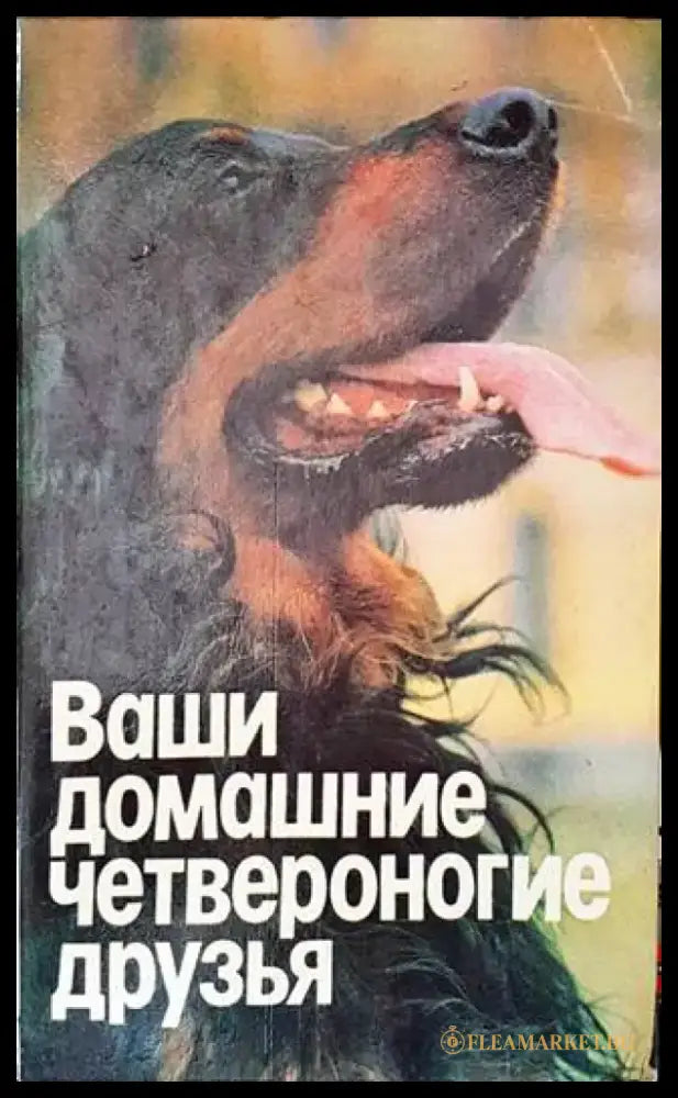 Ваши домашние четвероногие друзья - Книги