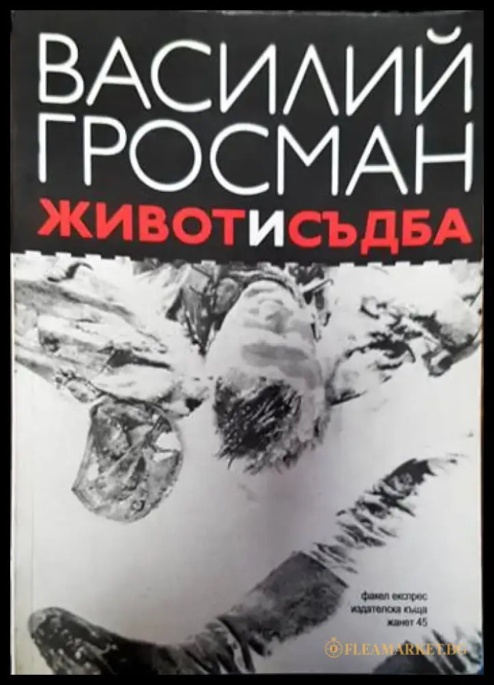 Василий Гросман - Книги