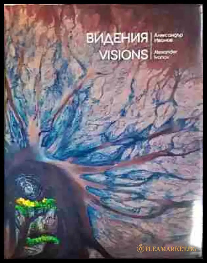 Видения (3376) - Книга