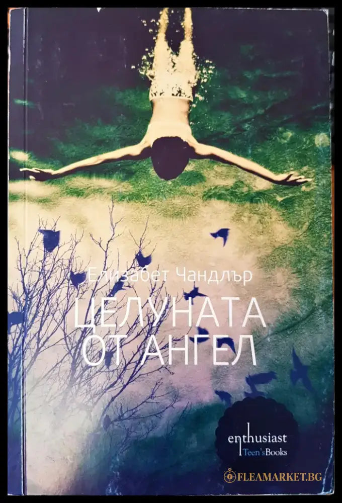 Видеоти (317) - Книга