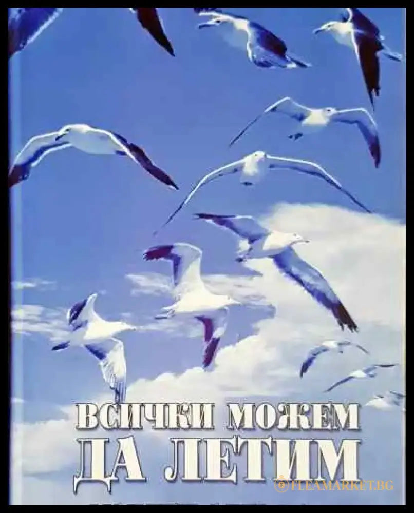 Всички можем да летим - Мадлен Алгафари - Книга