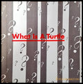 What is a turtle - Книги