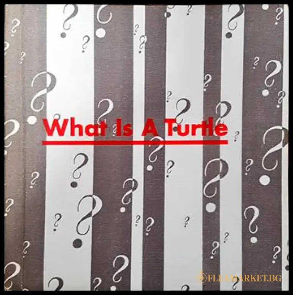 What is a turtle - Книги