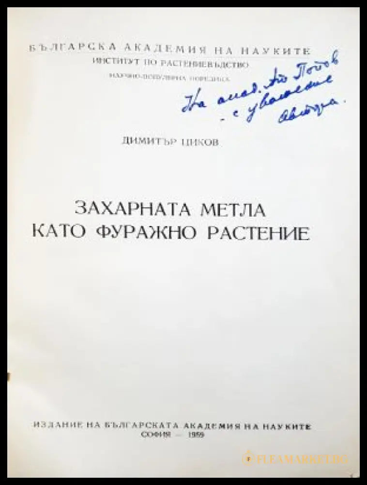 Захарната метла като фуражно растение - автограф