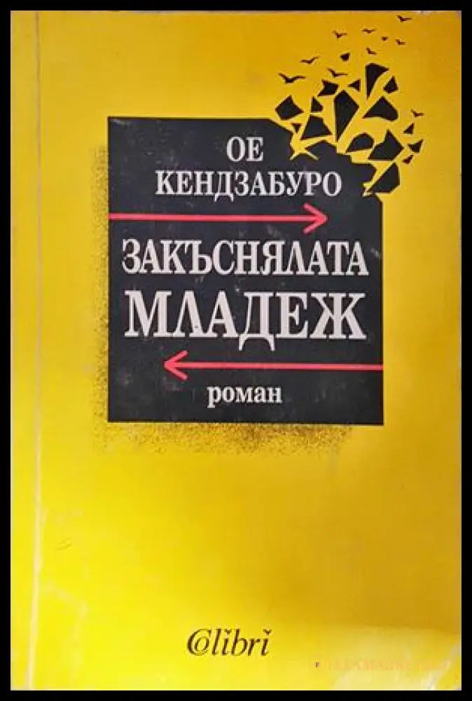 Закъснялата младеж (271706261640) - Ое Кендзабуро - Книга