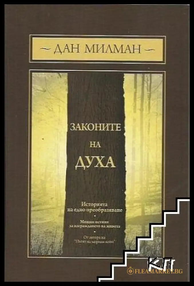 Корица на Законите на духа