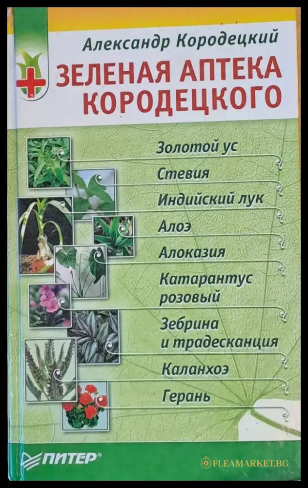 Зеленая аптека Кородецкого - Книги
