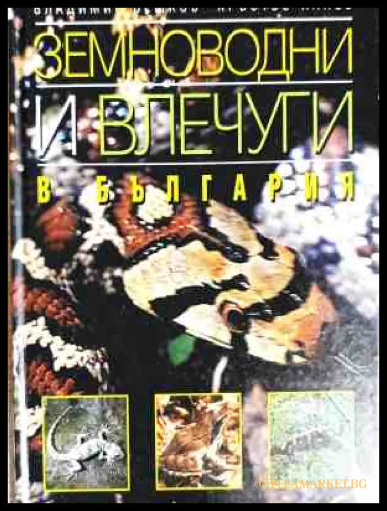 Земноводни и влечуги в България