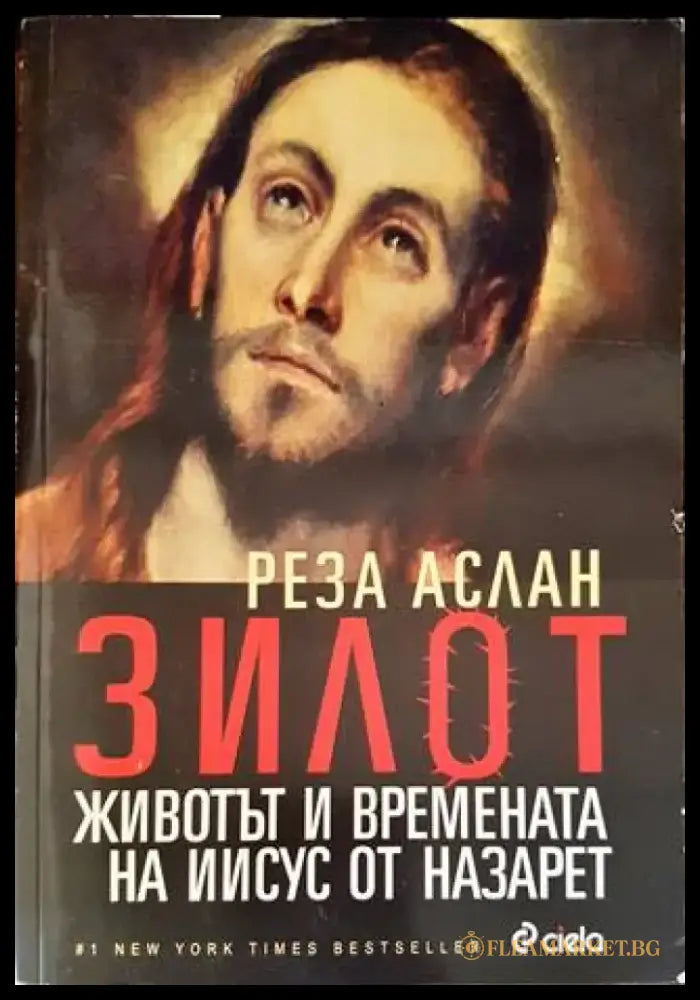 Зилот. Животът и времената на Иисус от Назарет (1052) - Книга