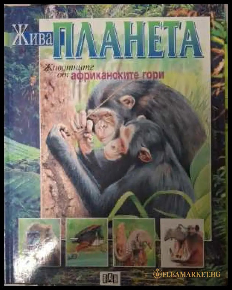 Жива планета: Животните от африканските гори