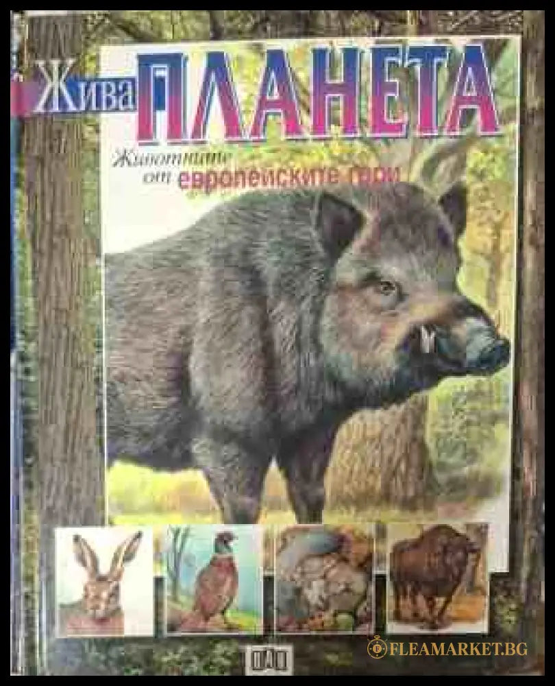 Жива планета: Животните от европейските гори (181809261524) - Колектив - Книга