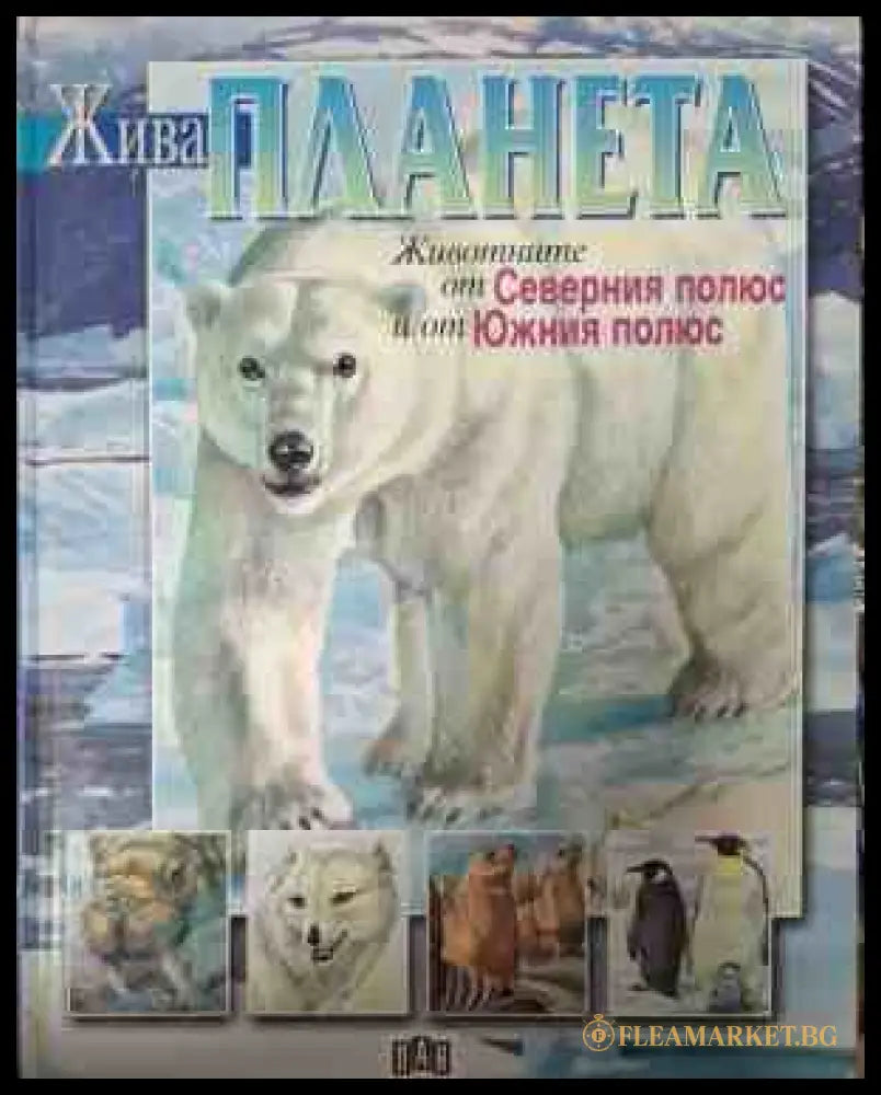 Жива планета: Животните от Северния полюс и от Южния полюс
