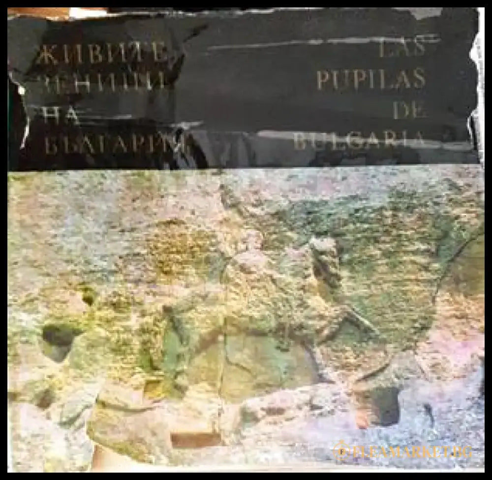 Живите зеници на България / Las prunelles vivantes de la Bulgarie - Книги